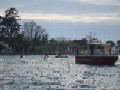 Esercitazione dei Vigili del Fuoco nelle acque antistanti il porto di Bardolino