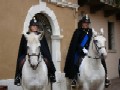 Vigili a cavallo