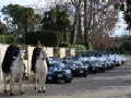 Vigili a cavallo a fianco dei loro mezzi