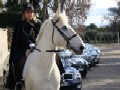 Vigilessa a cavallo