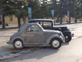 TOPOLINO PRIMO PIANO
